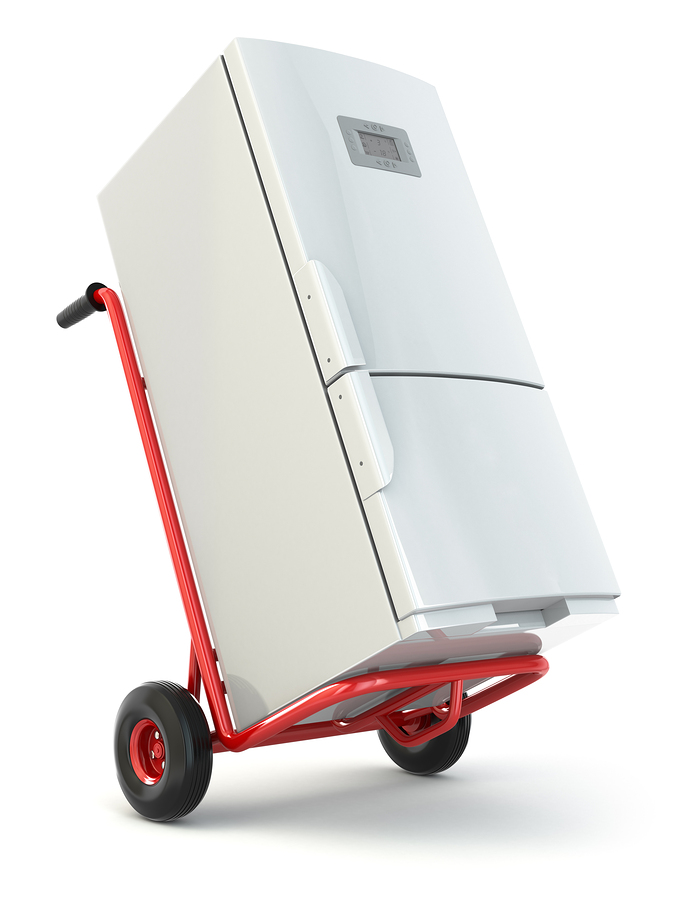 Moving and storage photo of refrigerator on a dolly